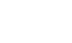 company-logo-light