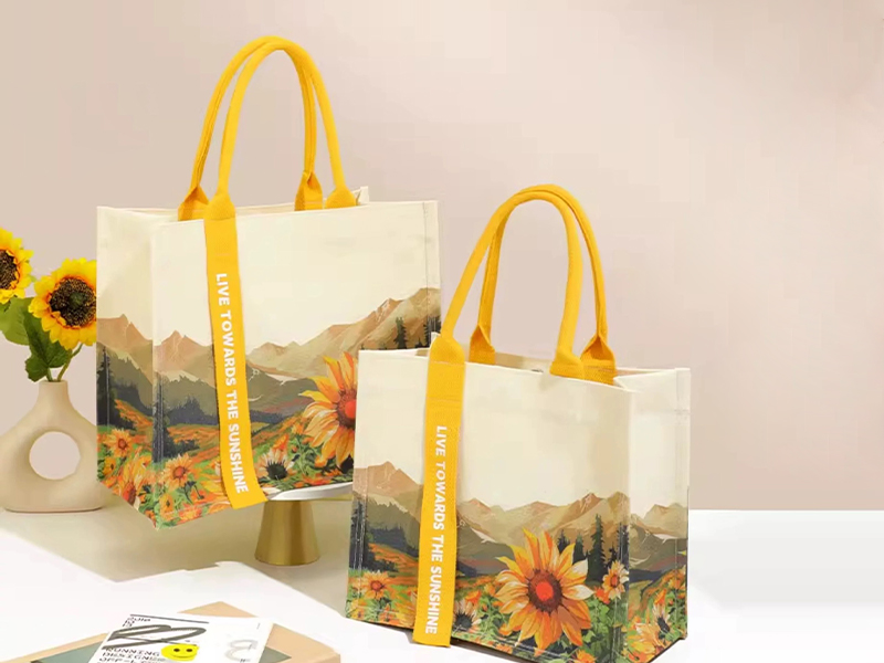 products_product-shopper_bag