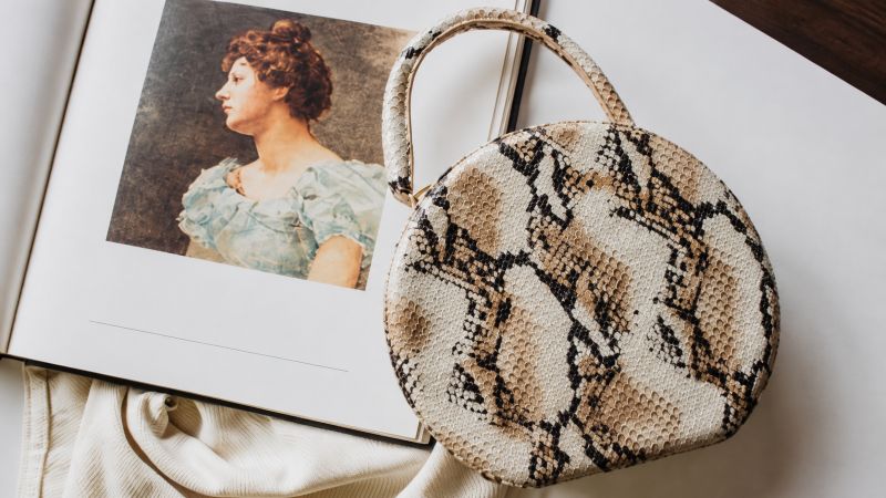 snakeskin-round-handbag-next-to-open-art-book